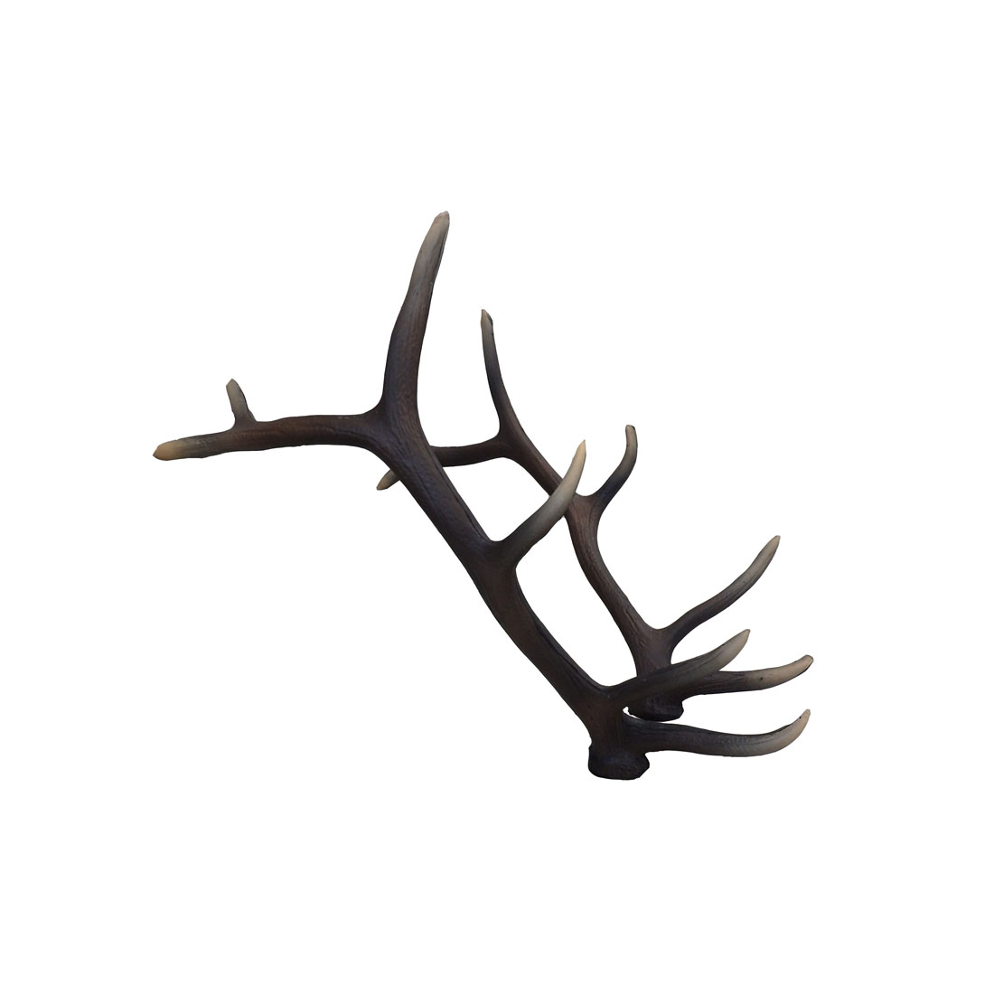 Leitold Red Deer Antlers (3D-0131)