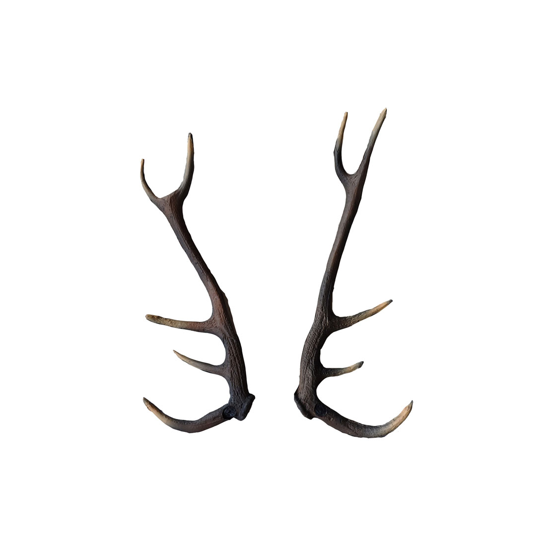 Leitold Red Deer Antlers (3D-0007)