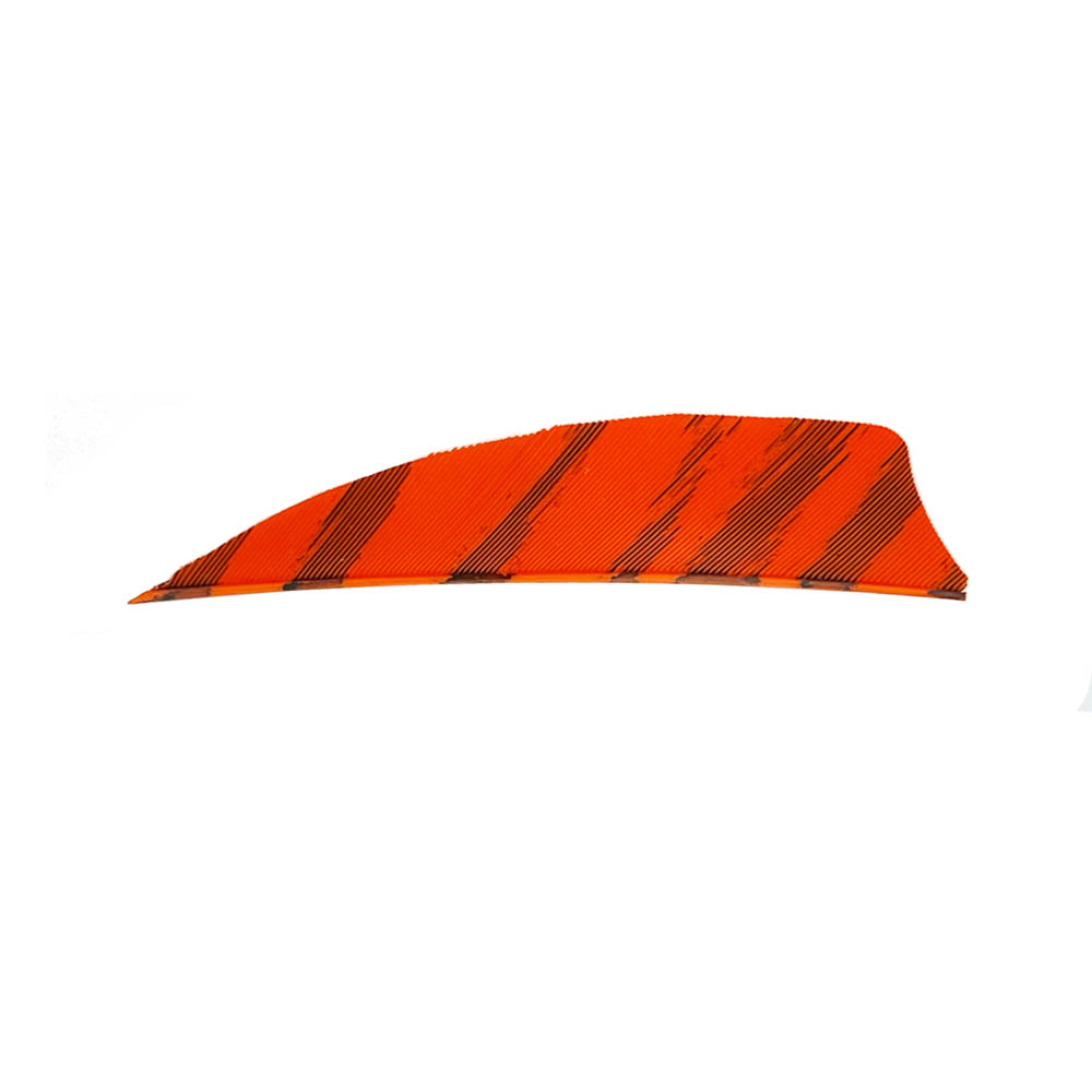 Color: Barred Orange