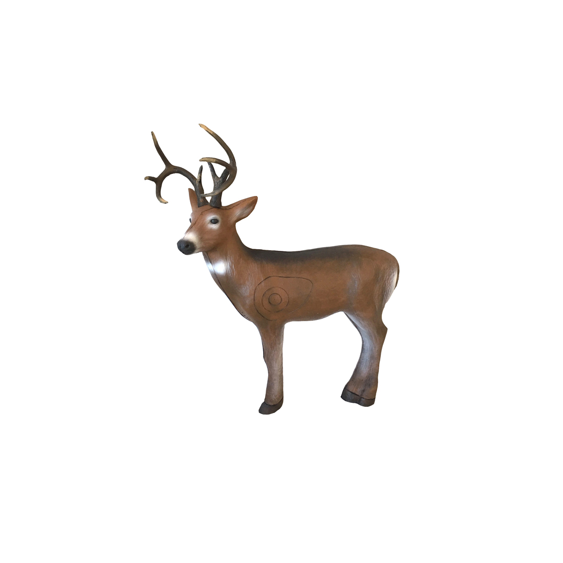 Leitold Young Whitetail Buck 3D Target