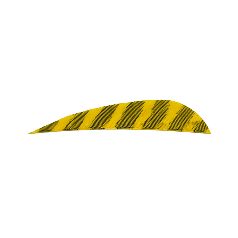 Color: Barred Yellow